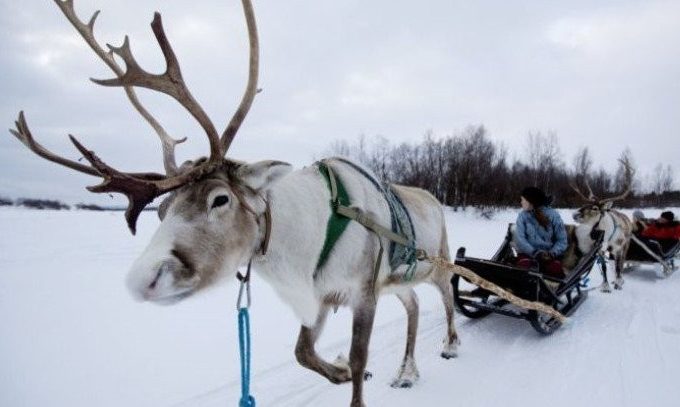 Explore Toronto with Niagara Falls